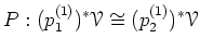 $\displaystyle P: (p_1^{(1)})^*\mathcal{V}\cong (p_2^{(1)}) ^* \mathcal{V}
$