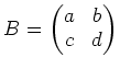 $ B=\begin{pmatrix}
a & b \\
c & d
\end{pmatrix}$