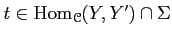 $ t \in \operatorname{Hom}_\mathcal{C}(Y,Y')\cap \Sigma$