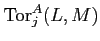 $ \operatorname{Tor}^A_j(L,M)$