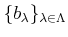 $ \{b_\lambda\}_{\lambda \in \Lambda}$