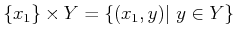 $\displaystyle \{x_1\}\times Y =\{(x_1,y)\vert y \in Y\}
$