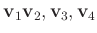 $ \mathbf v_1 \mathbf v_2,\mathbf v_3,\mathbf v_4$