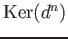 $ \operatorname{Ker}(d^{n})$