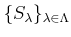 $ \{S_\lambda\}_{\lambda\in \Lambda}$