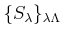 $ \{S_\lambda\}_{\lambda \Lambda}$