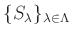 $ \{S_\lambda\}_{\lambda\in \Lambda}$