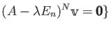 $\displaystyle (A-\lambda E_n) ^N \mathbbm v={\pmb 0} \}
$